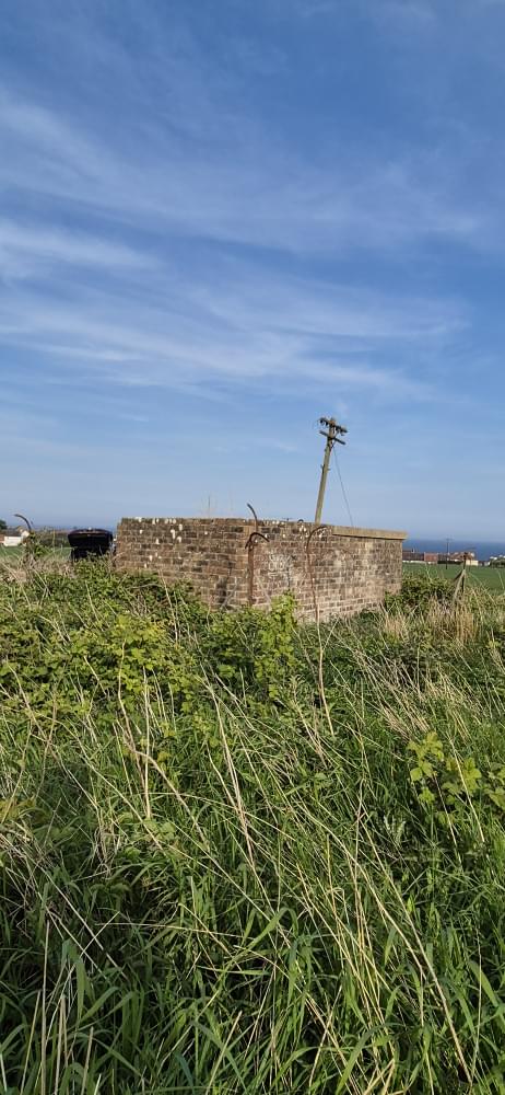 Crail ROC Post 2025 (David Ruzicka )