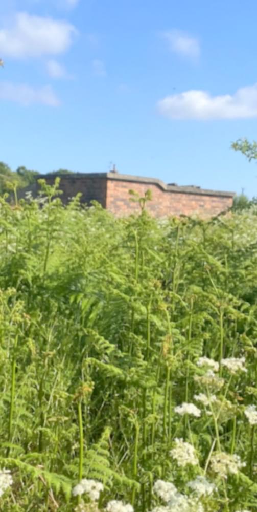 Penyffordd ROC Post 2025 (Zach Duckers )