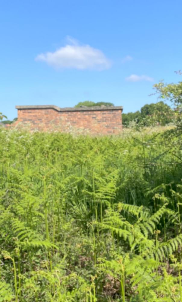 Penyffordd ROC Post 2025 (Zach Duckers )