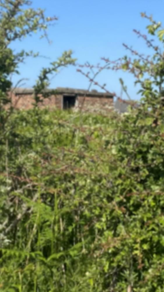 Penyffordd ROC Post 2025 (Zach Duckers )