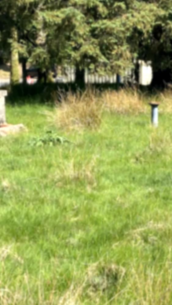 Blaenau Ffestiniog ROC Post (Zach Duckers )