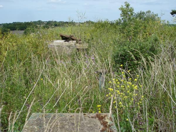 Alderton ROC Post (Erica Devitt )