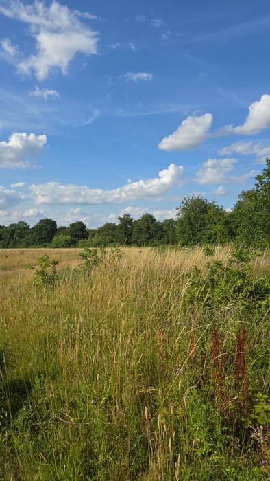 Chigwell ROC Post (David Dumbraveanu )