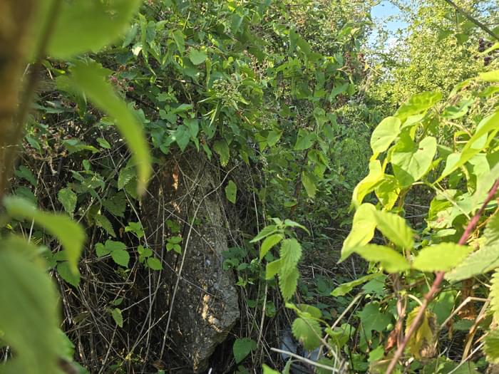 Chigwell ROC Post (David Dumbraveanu )