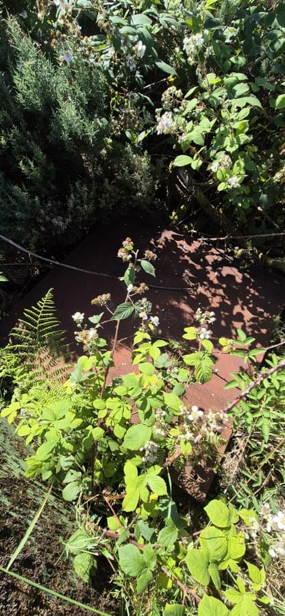 Fort William ROC Post 2025 (David Ruzicka)