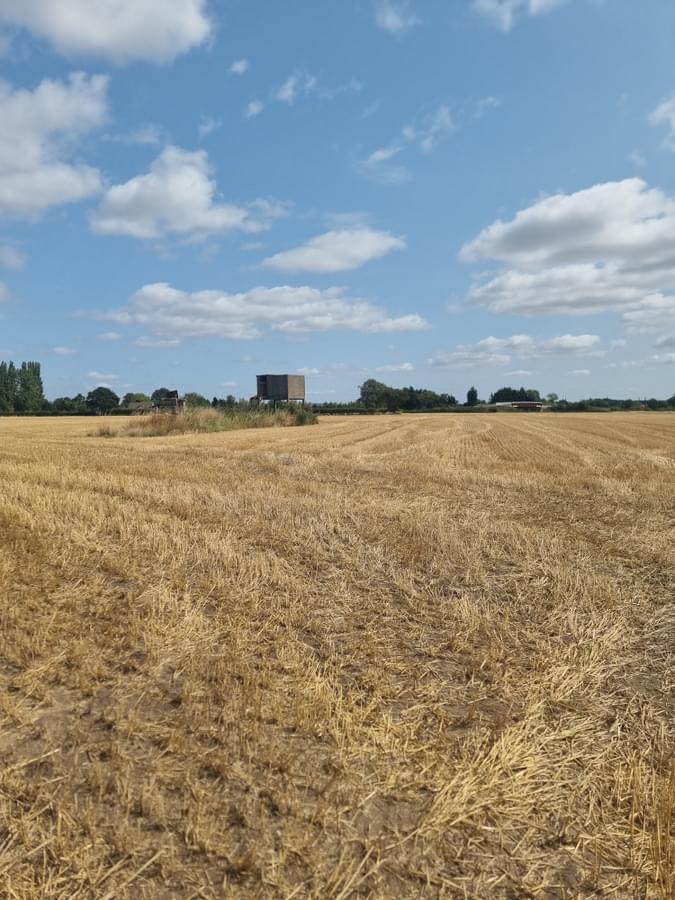 Tollerton ROC Post 2025 (Nathan Guthrie)