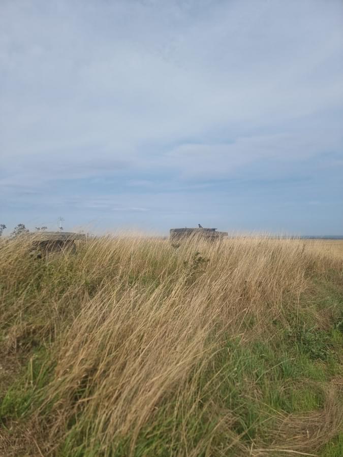 Market Weighton ROC Post 2025 (Nathan Guthrie)