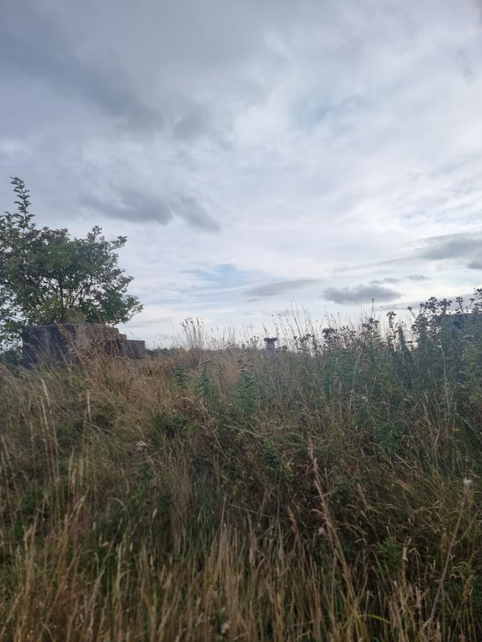 Ponteland ROC Post 2025 (Nathen Guthrie)