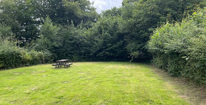 West Hoathley August 8th 2025 (David Harvey)