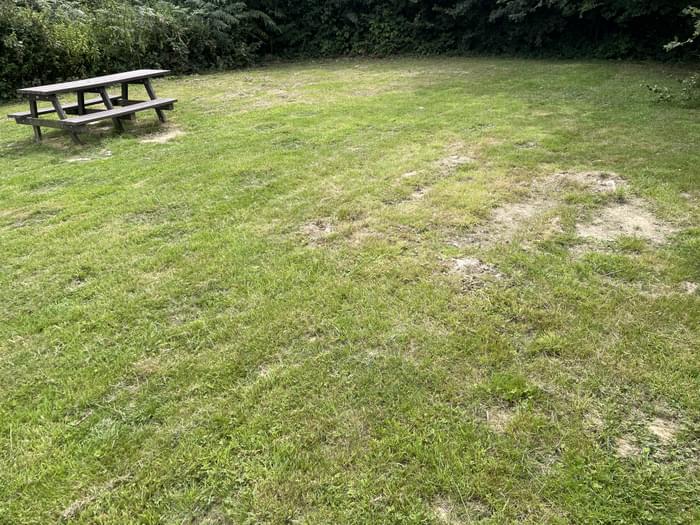 West Hoathley August 8th 2025 (David Harvey)