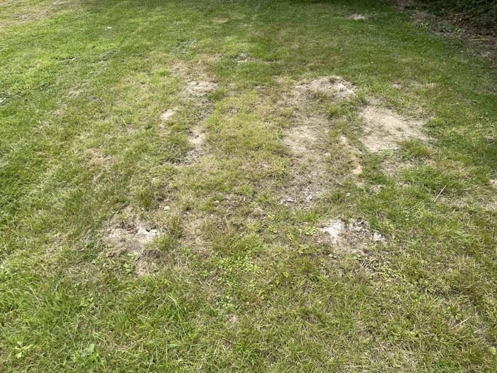 West Hoathley August 8th 2025 (David Harvey)