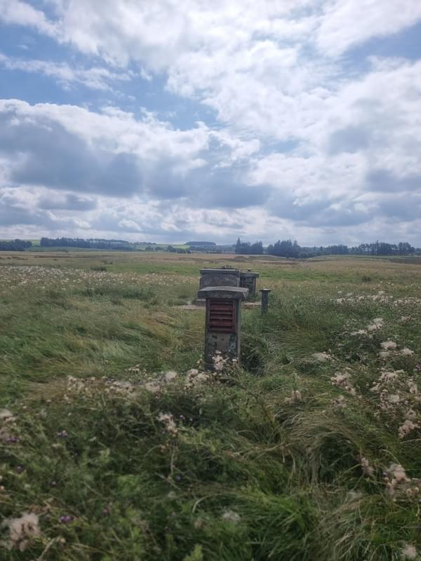 Penicuik ROC Post 2025 (2025)