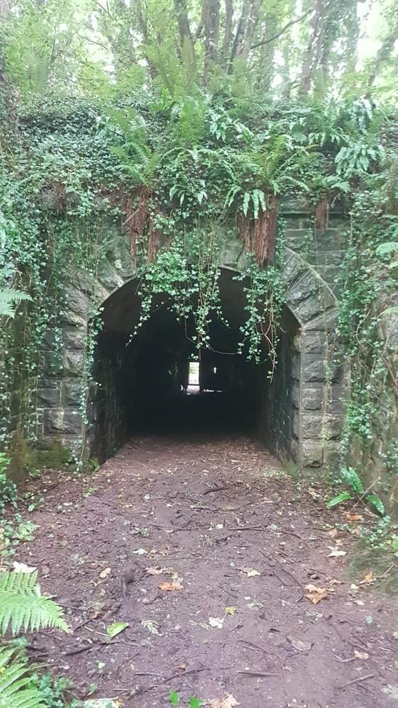 (Craig Meiklejohn - 2025)