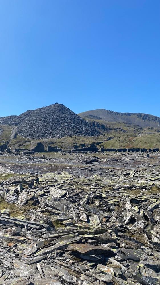 (Zach Duckers - 2025)