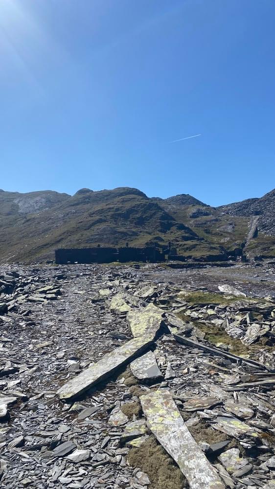 (Zach Duckers - 2025)