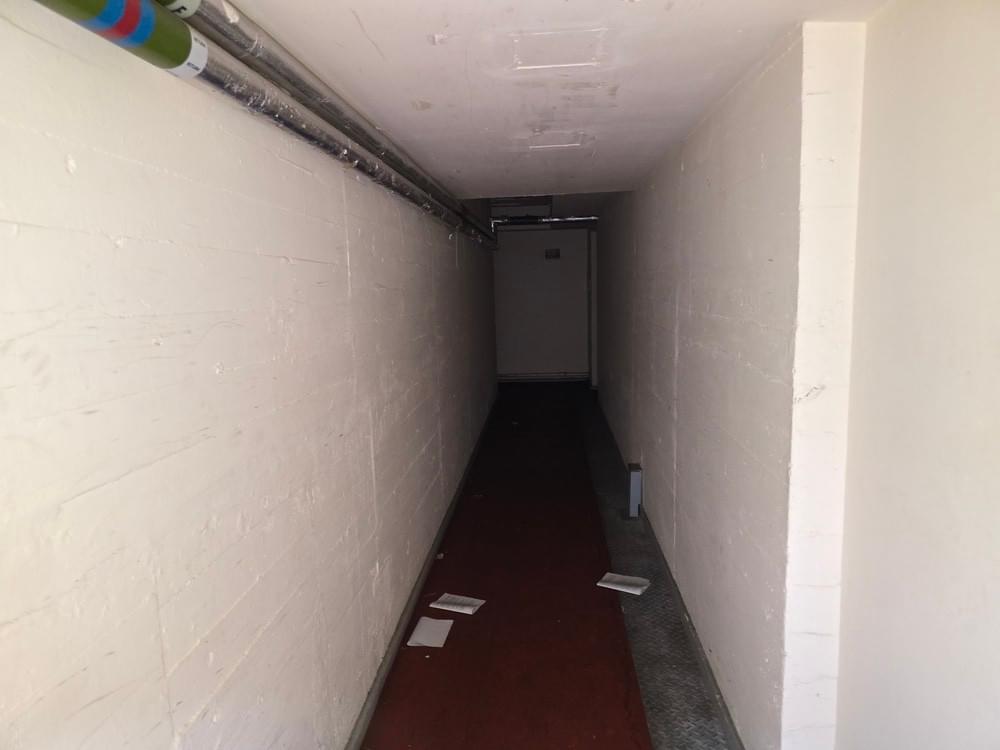 (Chris McPherson - 2025)