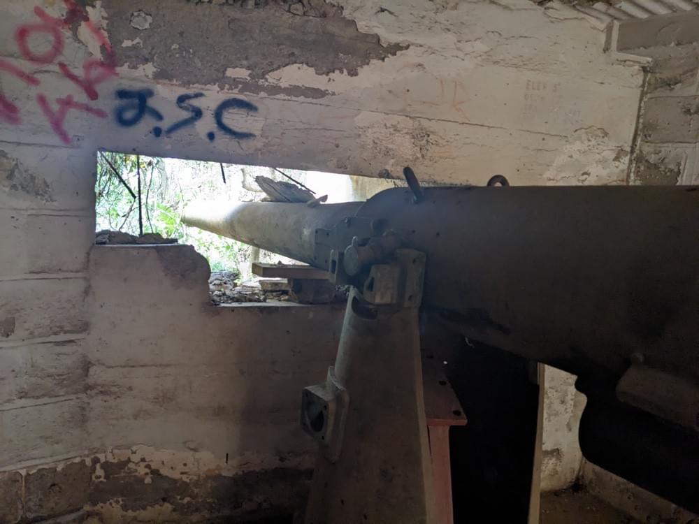 (William Orchard - 2025)