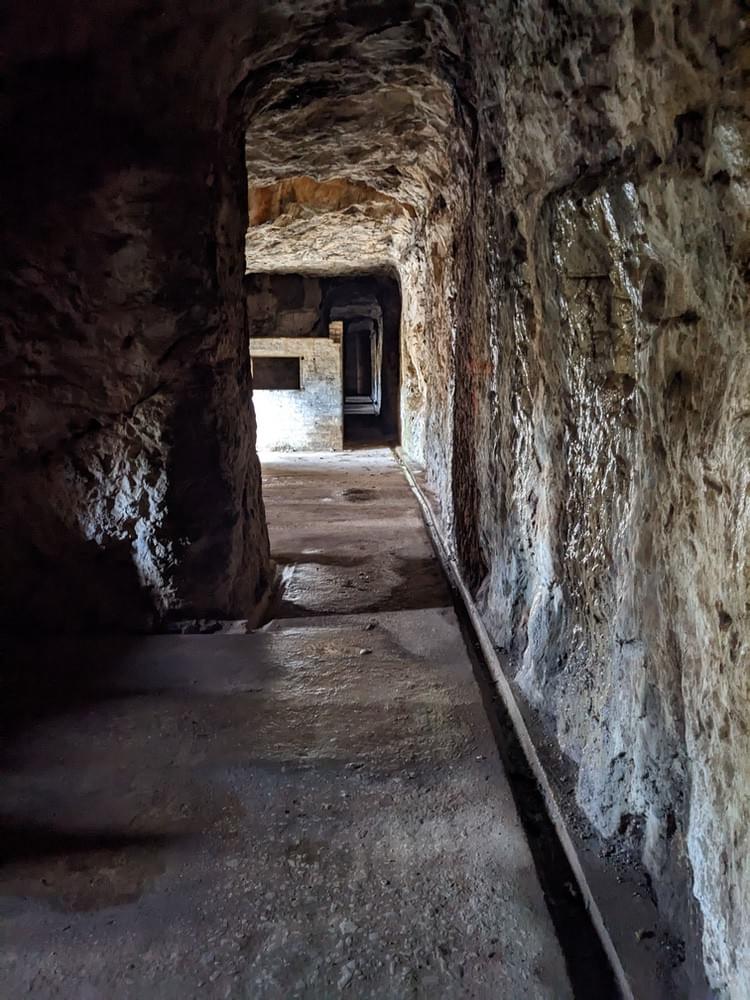 (William Orchard - 2025)