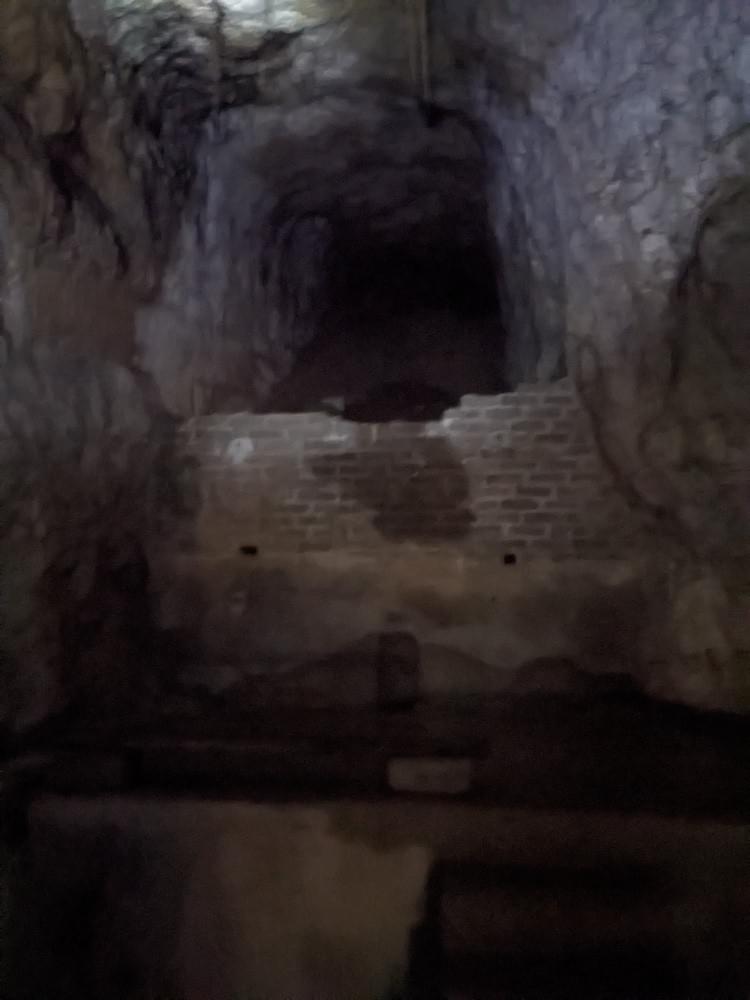 (William Orchard - 2025)