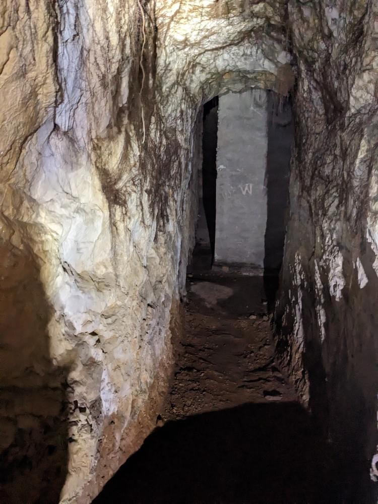 (William Orchard - 2025)