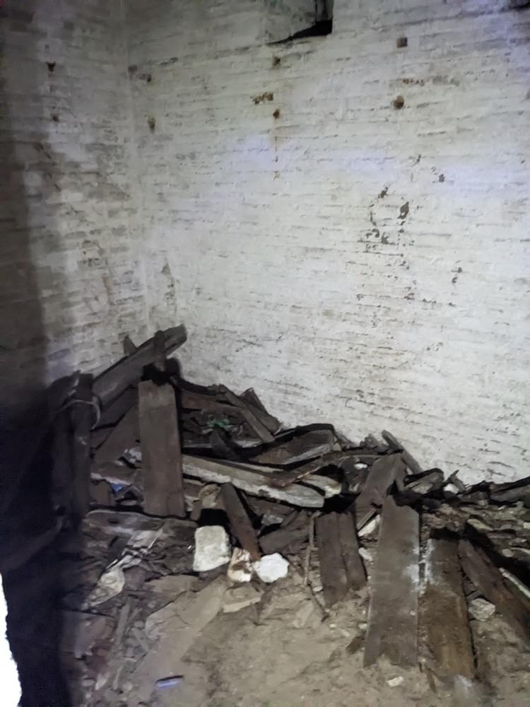 (William Orchard - 2025)