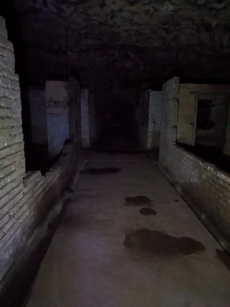 (William Orchard - 2025)