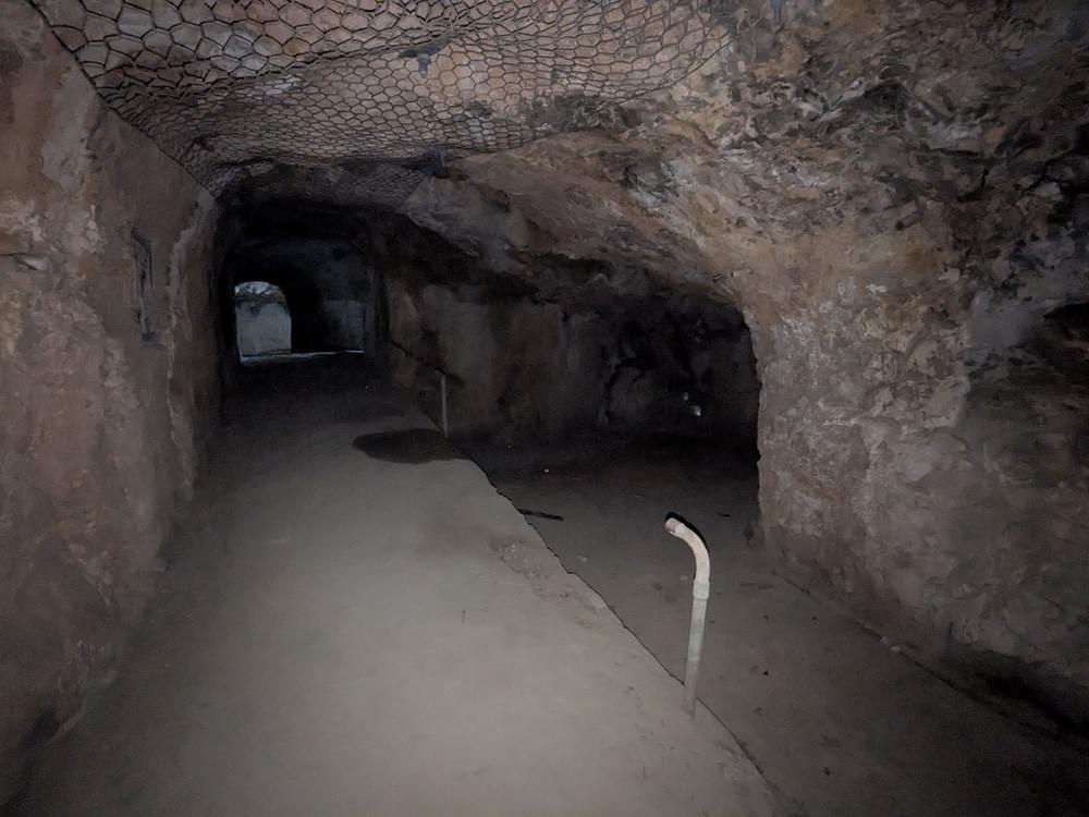 (William Orchard - 2025)