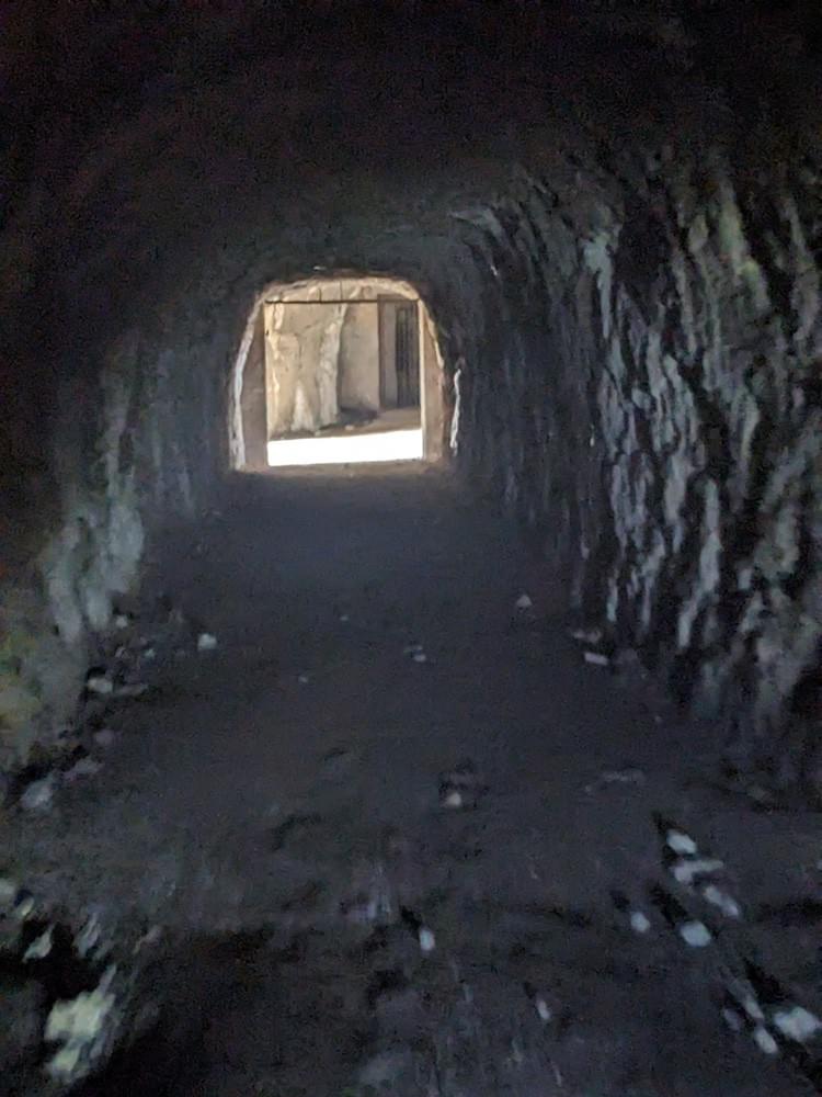 (William Orchard - 2025)