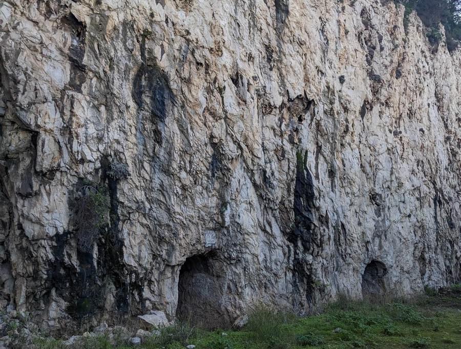 (William Orchard - 2025)