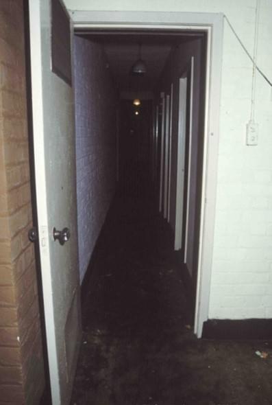 The Spine Corridor. (Geoff Bailey)