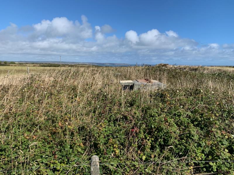 The Lizard ROC Post 2025 (Garry Ponzini )