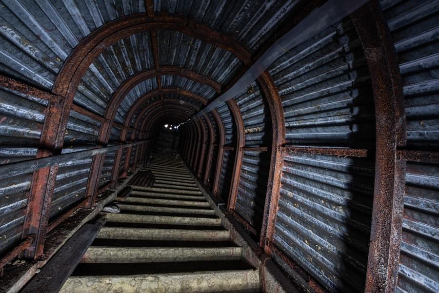 (Callum Cromwell - 2024)