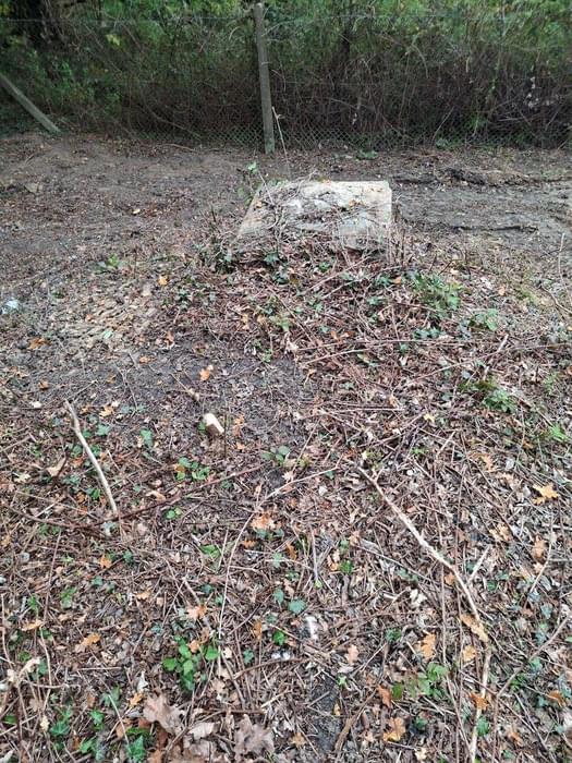 Billingshurst ROC Post (Tony Page)