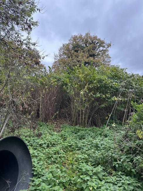 Leighterton ROC Post (Chris P)