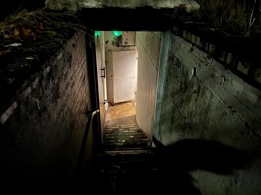 Entrance (Matt Hardiman (2025))