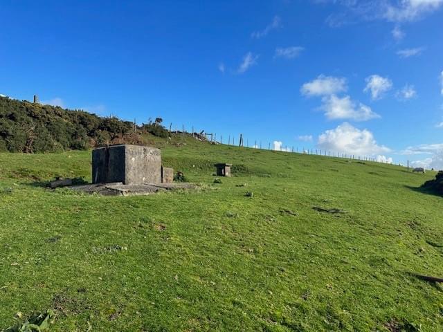 (Rhiannon Green (2023))