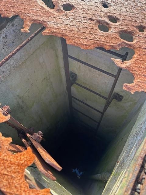 (Rhiannon Green (2023))