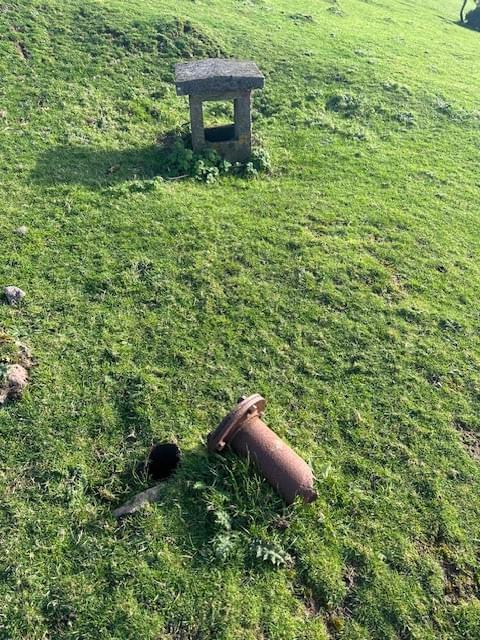 (Rhiannon Green (2023))