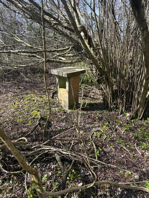 Petworth ROC Post March 2026 (Lynton Clist )