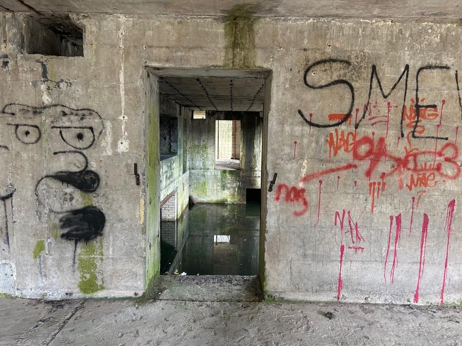 (Andrew Hebden - 2026)