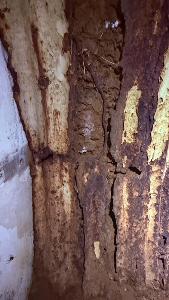 Deteriorating corrugated iron wall/roof - earth is visible.  (Neil Iosson - 2026)