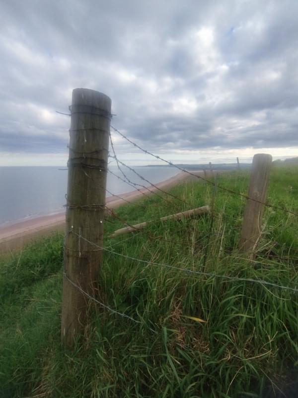 St. Cyrus ROC Post May 2026 (David Ruzicka )