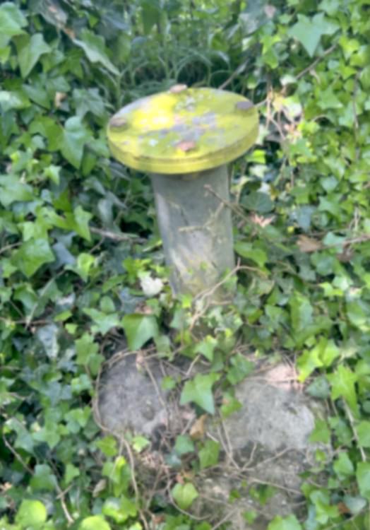 Brookland ROC Post  09.05.2026 (Andrew Hebden)