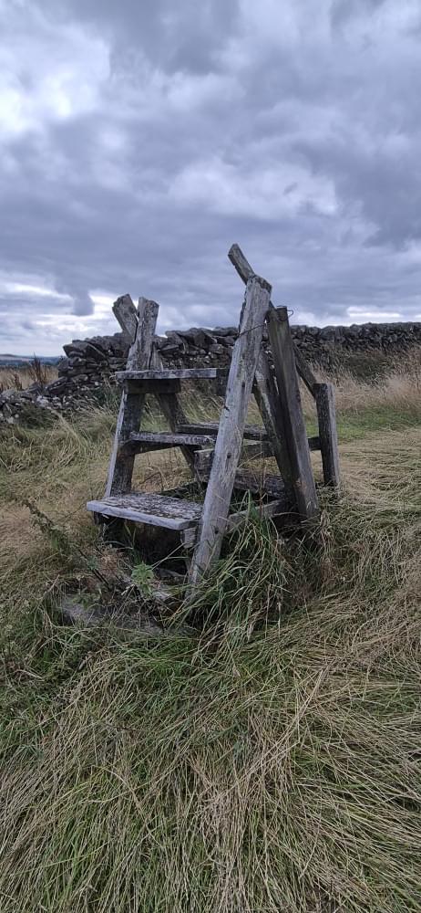 Parkgate ROC Post August 2026 (David Ruzicka)