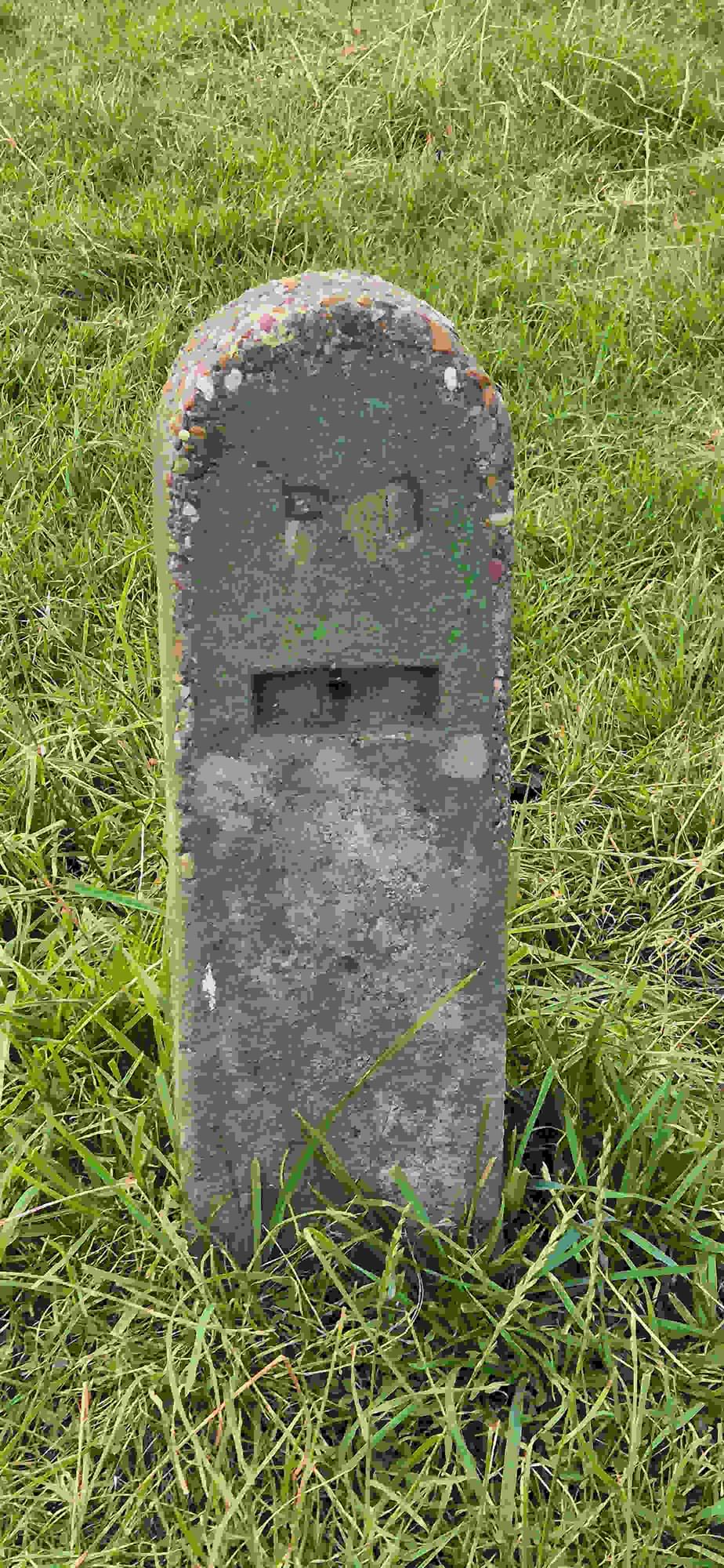 Parton ROC Post September 2026 (David Ruzicka )